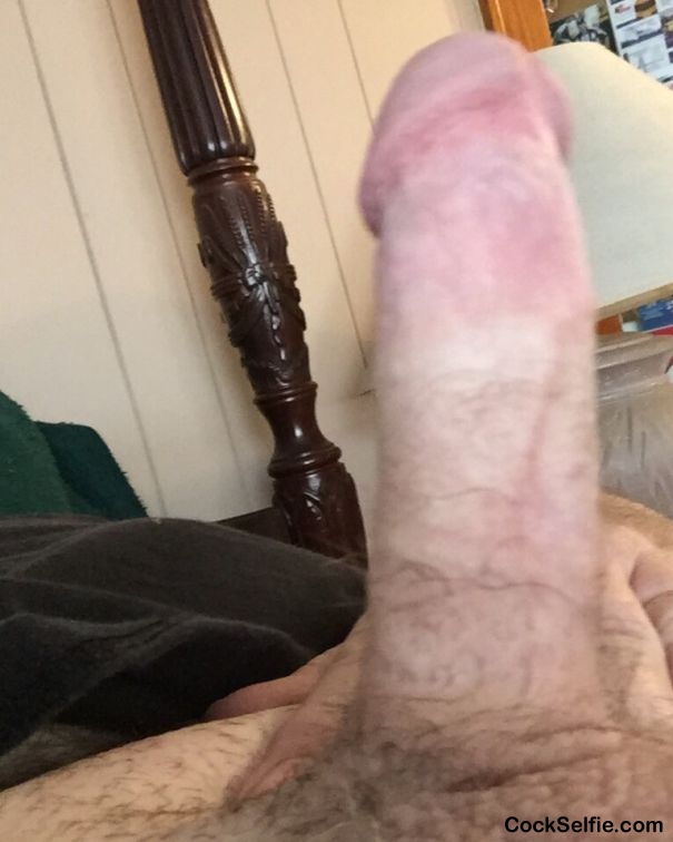 Morning any takers today - Cock Selfie