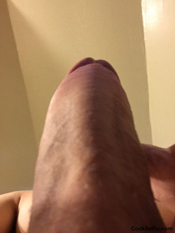 Quick back shot - Cock Selfie