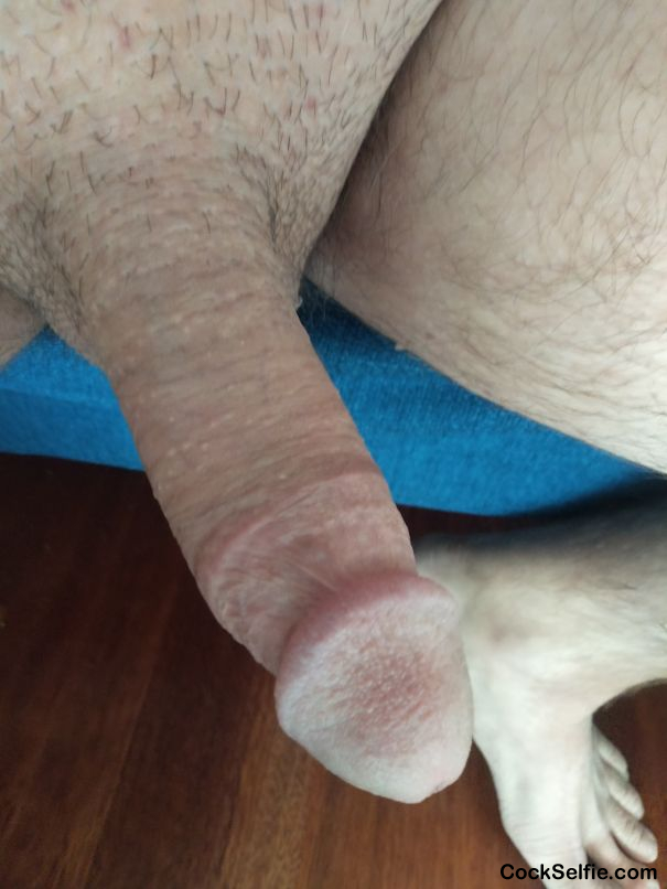 Aussie - Cock Selfie