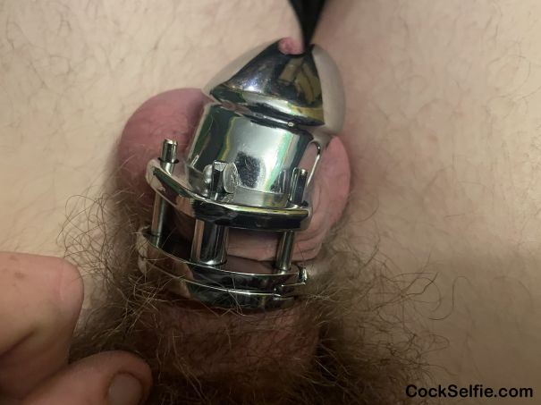 Trying Some Semi Permanent Chastity A Riveted Shut Cage Its Feels So