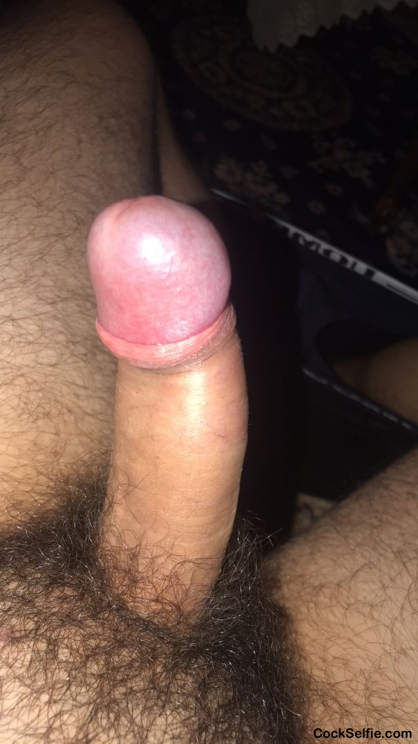 Morning boner - Cock Selfie