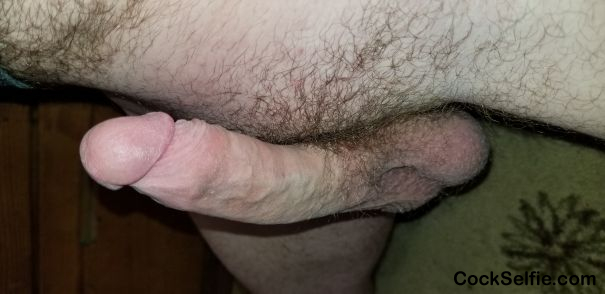 Enjoy my rock hard dick? - Cock Selfie