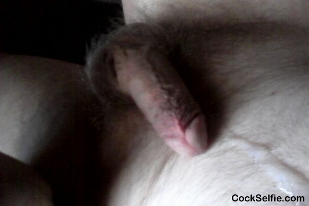 cumshot1 - Cock Selfie