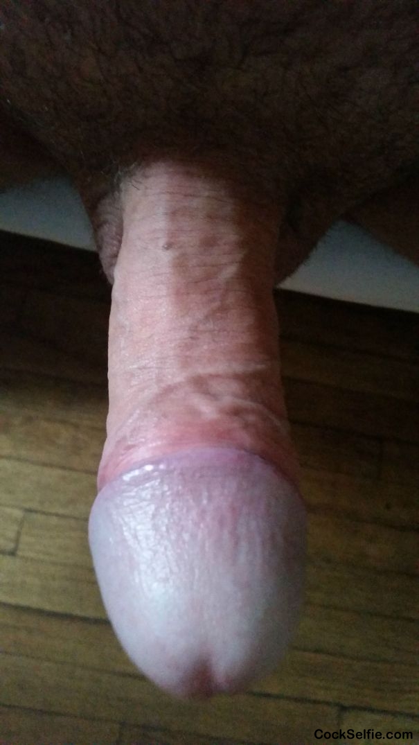 your view - Cock Selfie