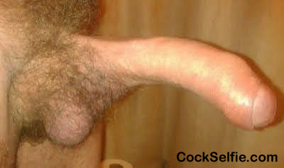  - Cock Selfie