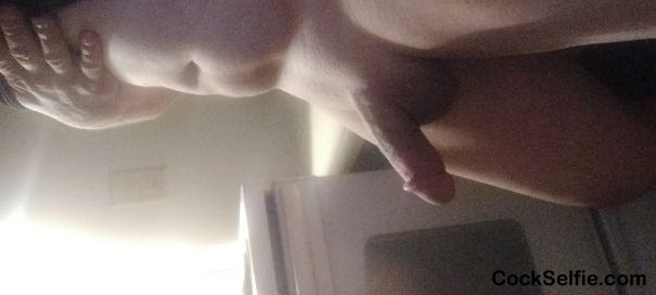 Do you like my cock - Cock Selfie