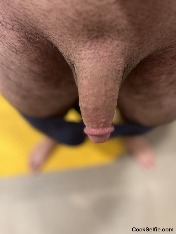  - Cock Selfie