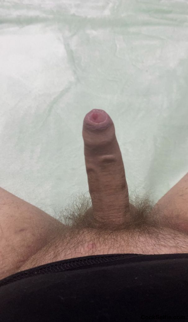 Like my cock? - Cock Selfie