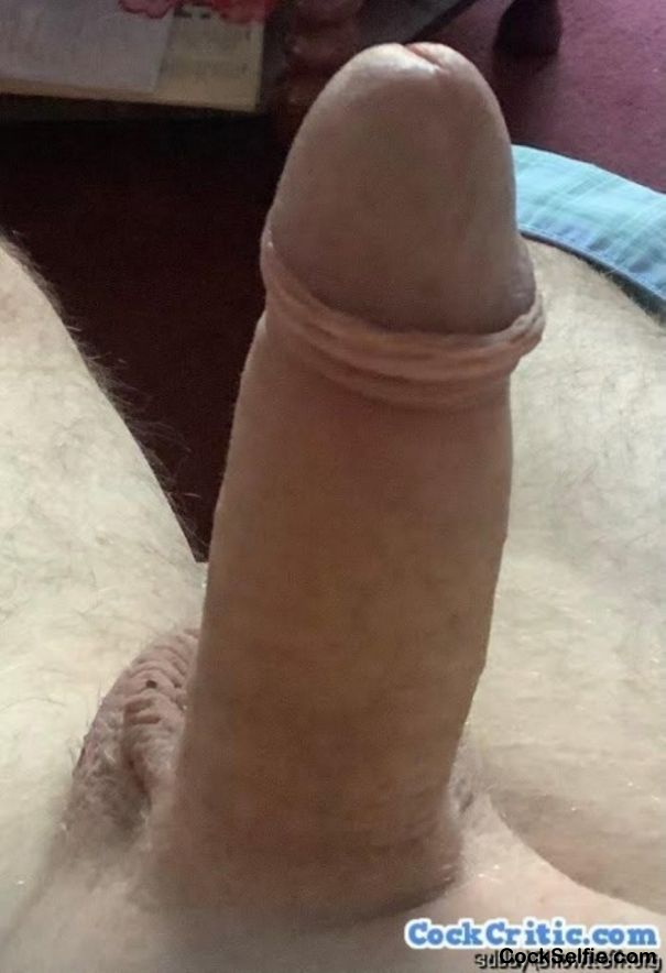  - Cock Selfie