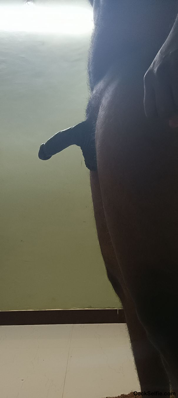 Big black fat Cock snake - Cock Selfie