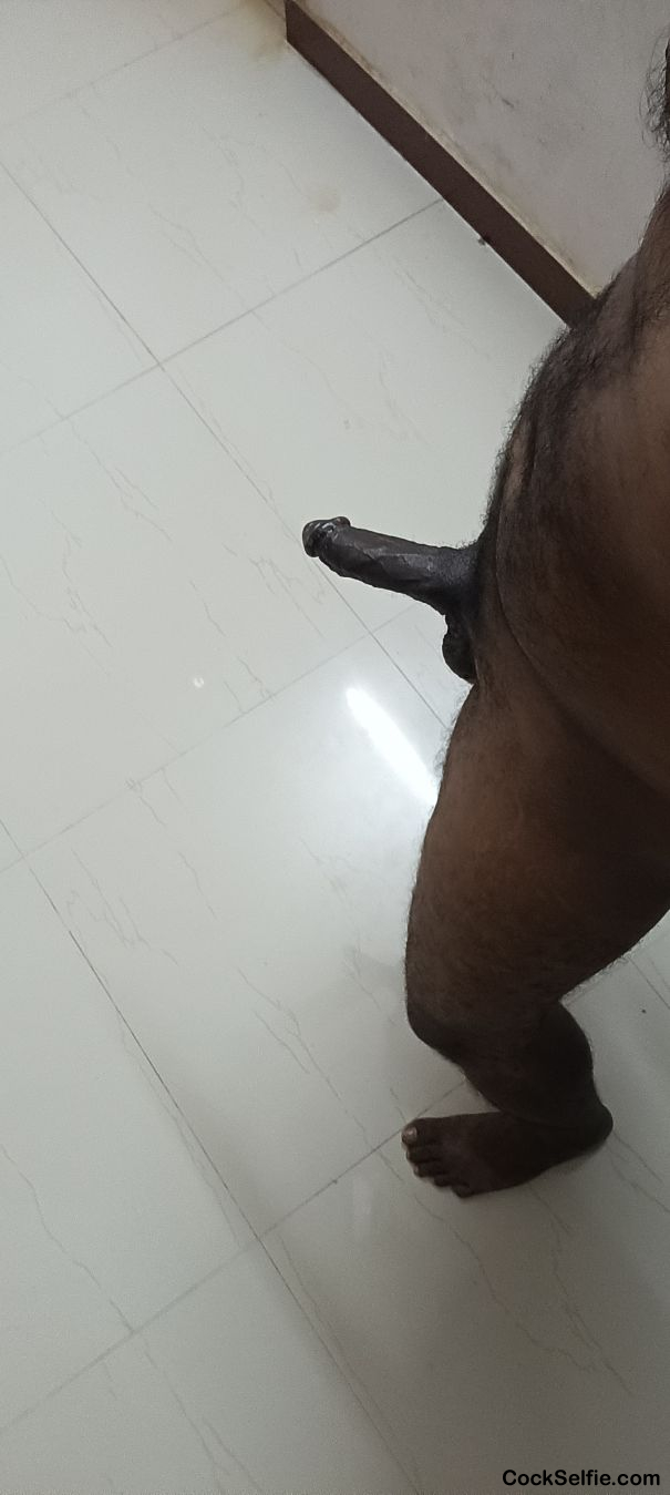 Tamil big cock - Cock Selfie