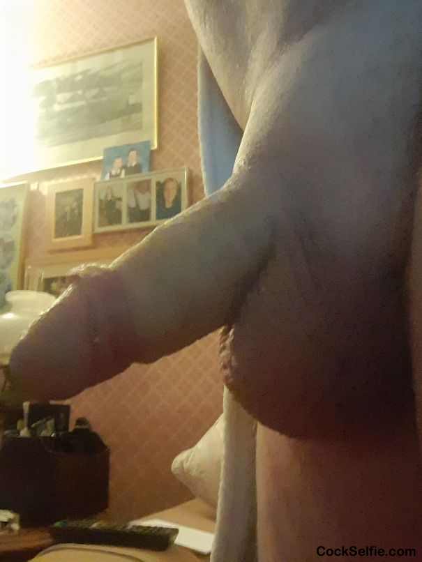  - Cock Selfie