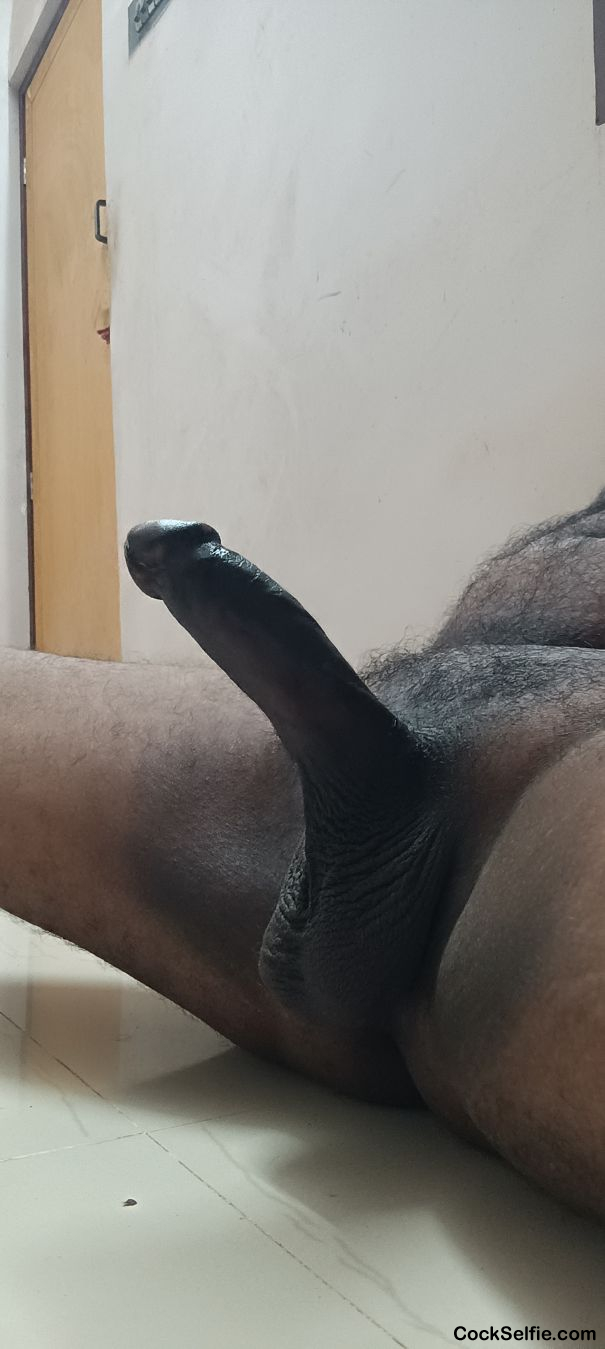 Tamil monster cock 2 - Cock Selfie