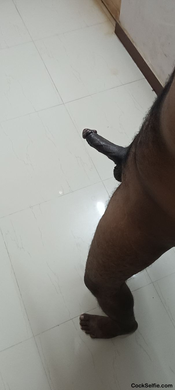 Tamil cock - Cock Selfie