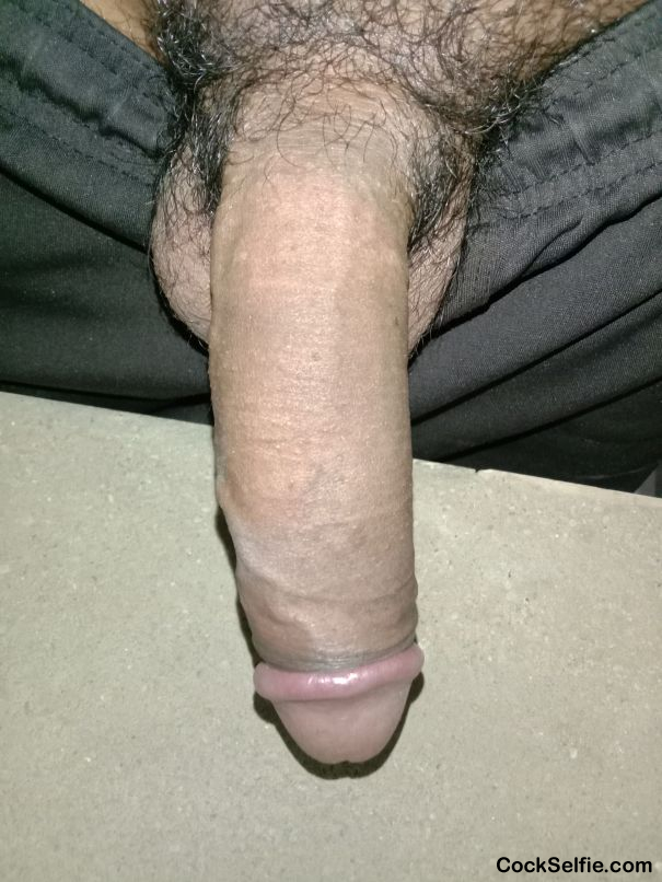 Ready to fucking - Cock Selfie