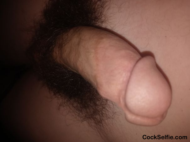  - Cock Selfie