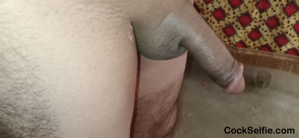  - Cock Selfie